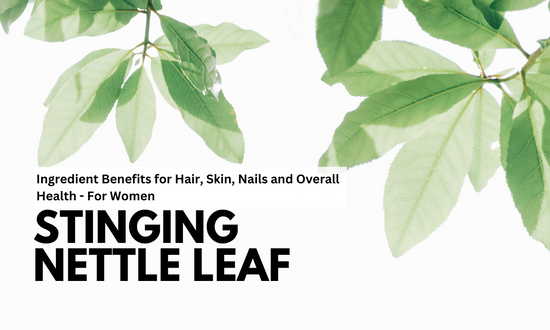 Stinging Nettle Leaf Benefits for Hair, Skin, Nails and Overall Health