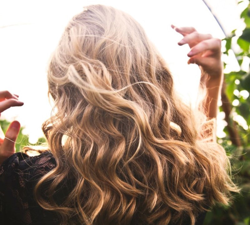 Beautiful Hair Glowing In The Sun