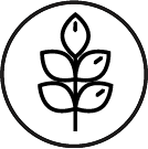 Gluten_Free
