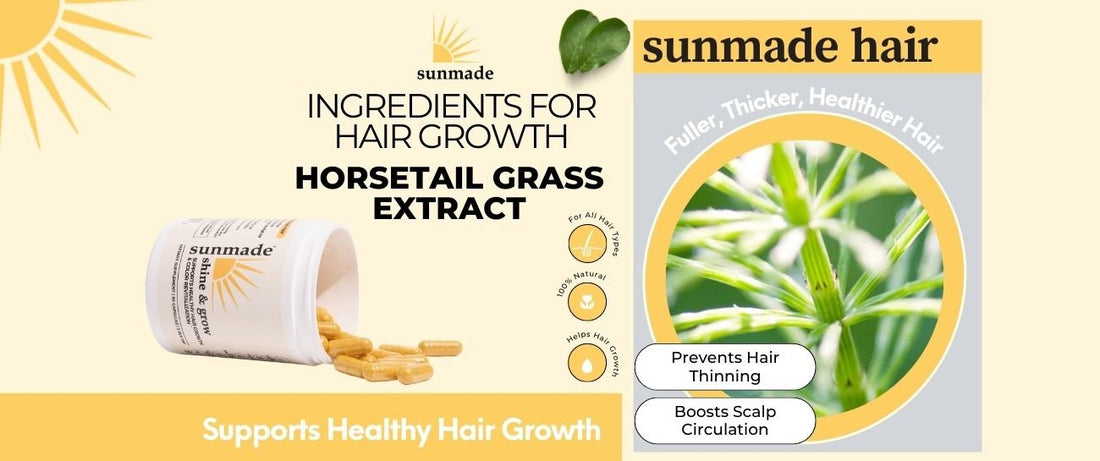 Horsetail (Equisetum arvense L) Grass Extract: Ingredient Benefits for Hair, Skin, Nails and Overall Health - For Women - Sunmade Hair